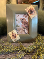 Vintage Soft Owl Framed Print | Cottagecore Shelf Decor | One-of-a-Kind
