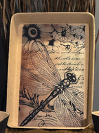 Upcycled Specimen Trays | Rustic Catchall Desk & Dresser Decor | Set of 3