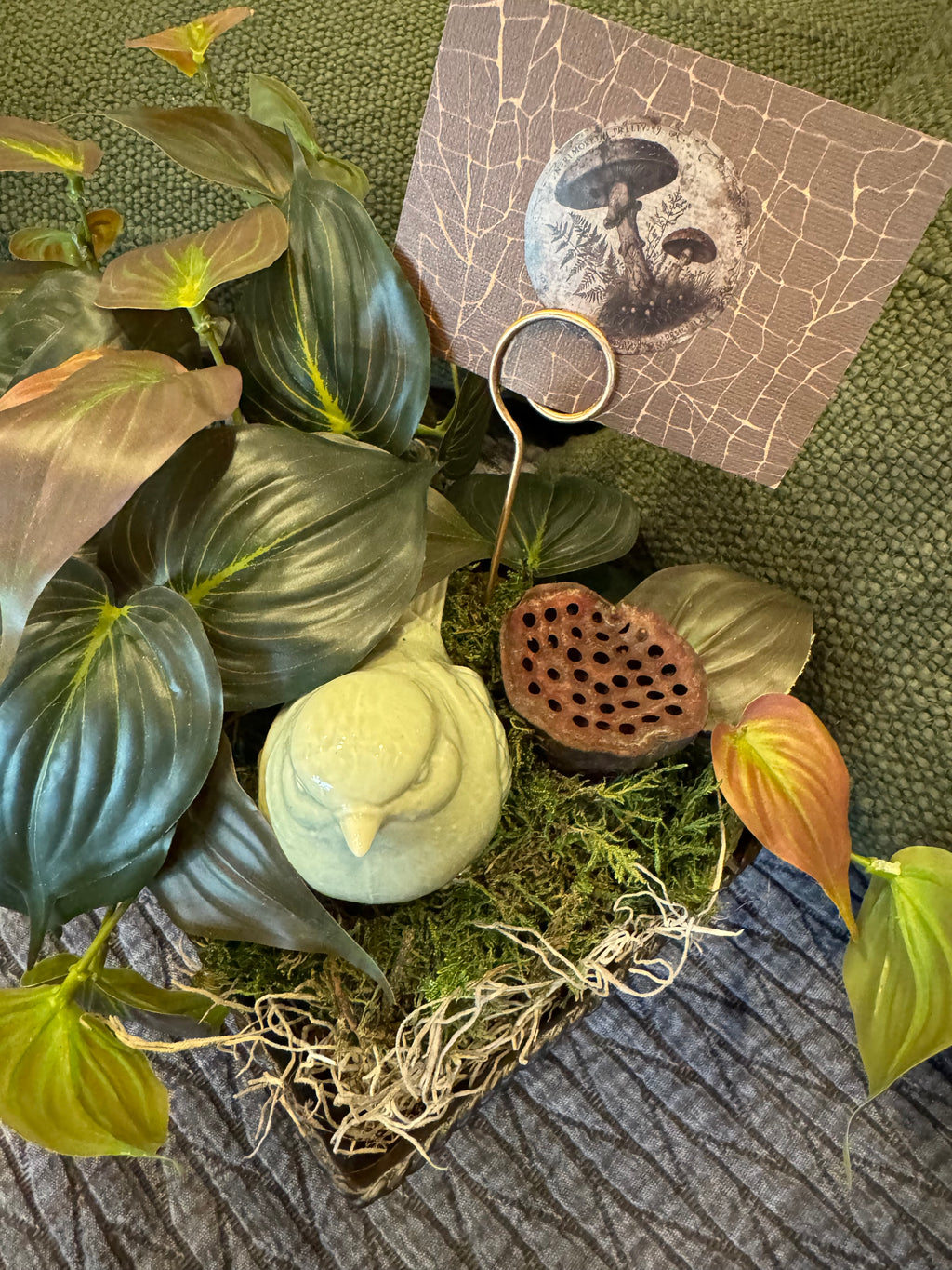 Vintage Bird Nest Vignette with Greens & Pods | Cottagecore Decor