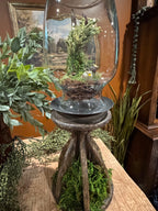 Bird Nest in Glass Dome on Pillar Candle Base | Dark Cottagecore Decor