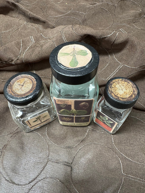 3-PLant Diagrams Apothecary #3