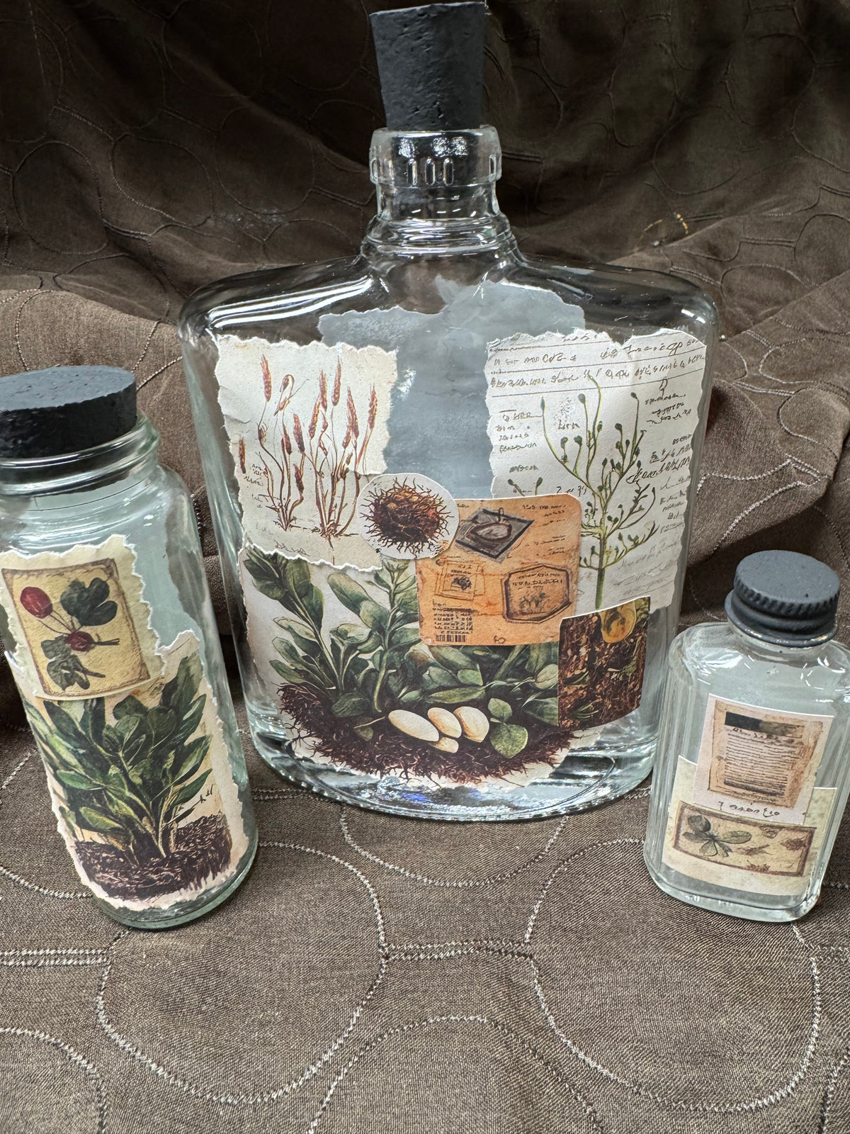 3-Plant Sampler Apothecary #4