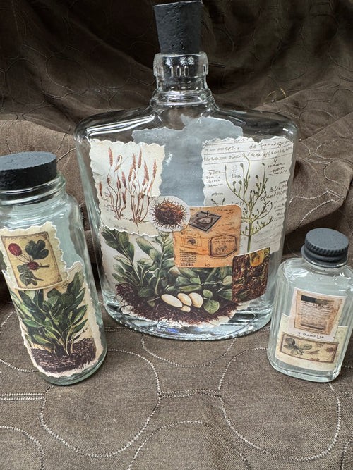3-Plant Sampler Apothecary #4