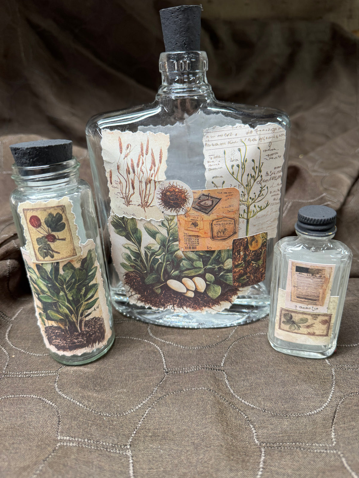 3-Plant Sampler Apothecary #4