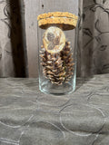 Pinecones