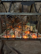 Abandoned Scarry Terrarium