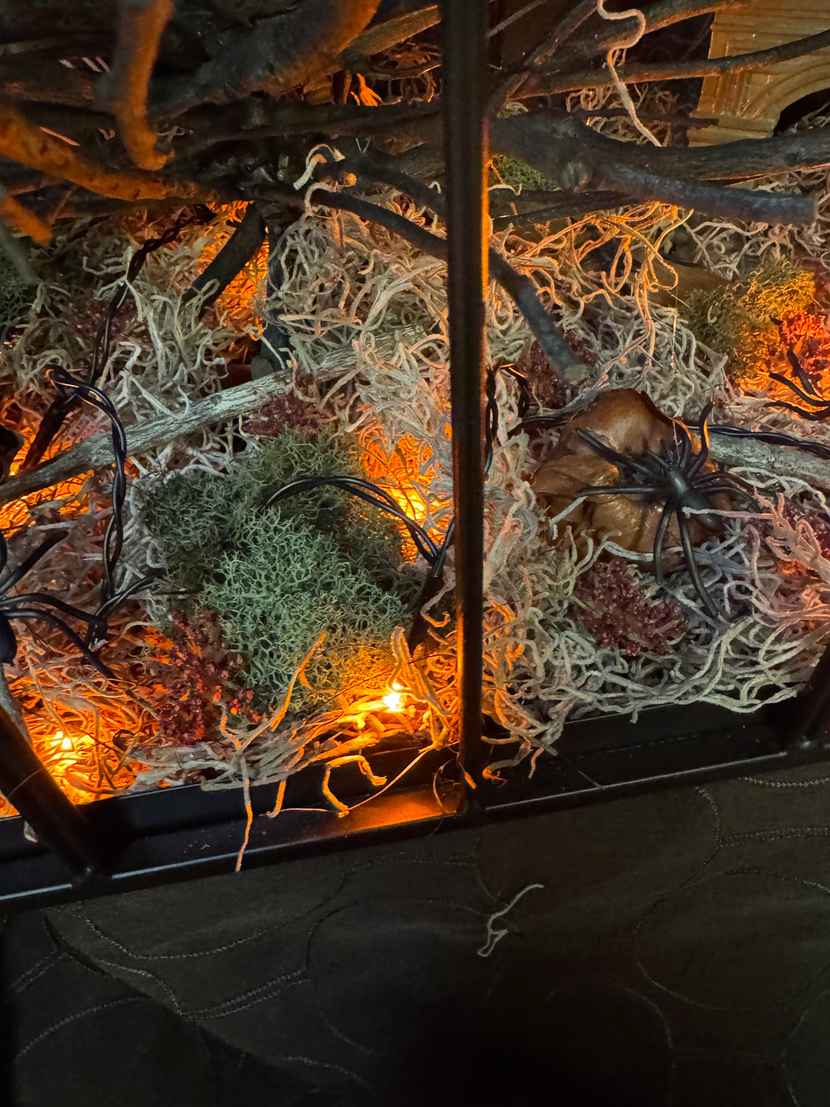 Abandoned Scarry Terrarium