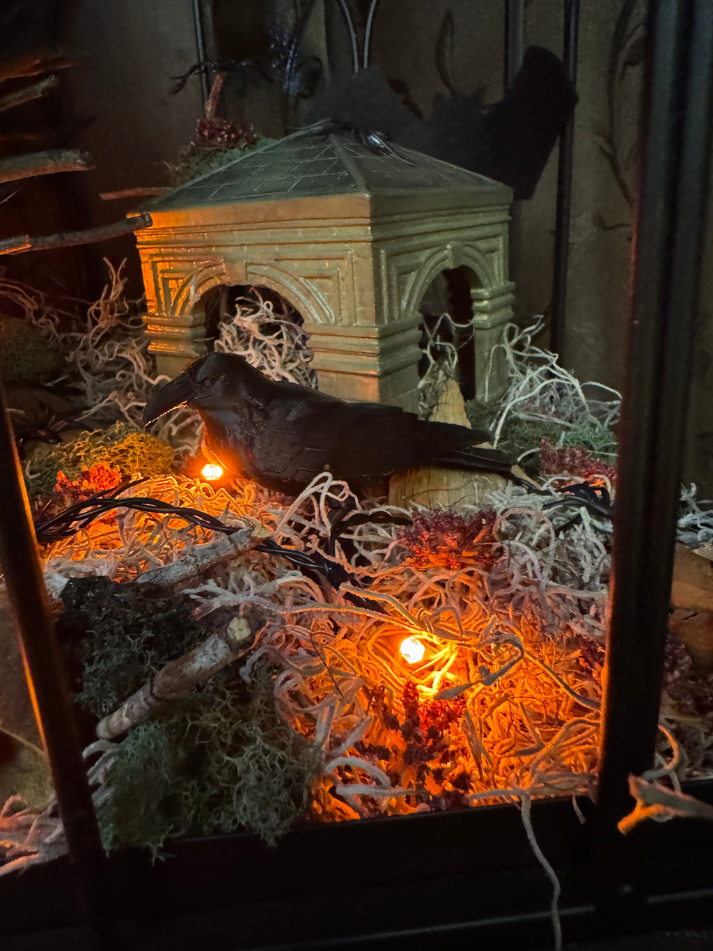 Abandoned Scarry Terrarium