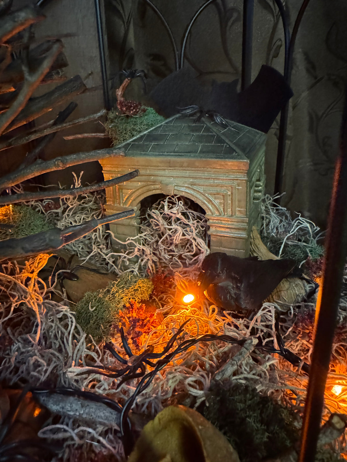 Abandoned Scarry Terrarium