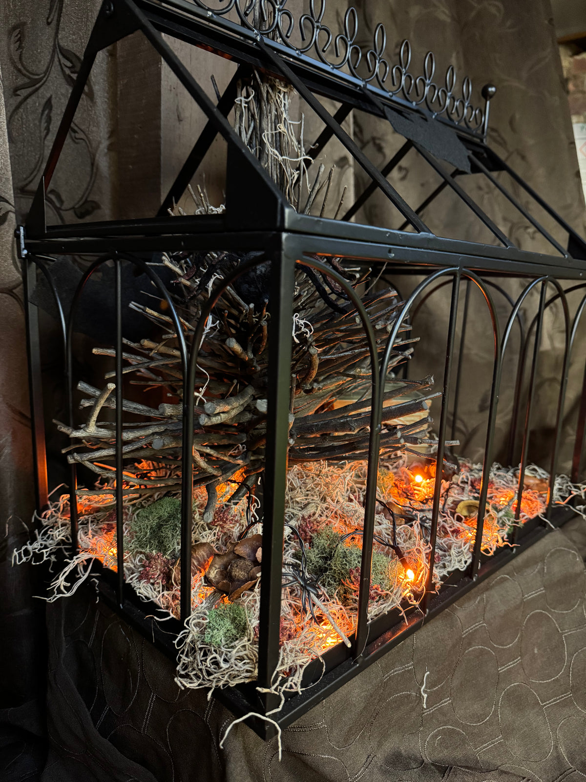 Abandoned Scarry Terrarium