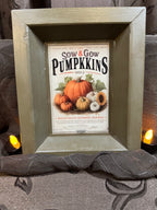 Sow and Grow Pumpkins