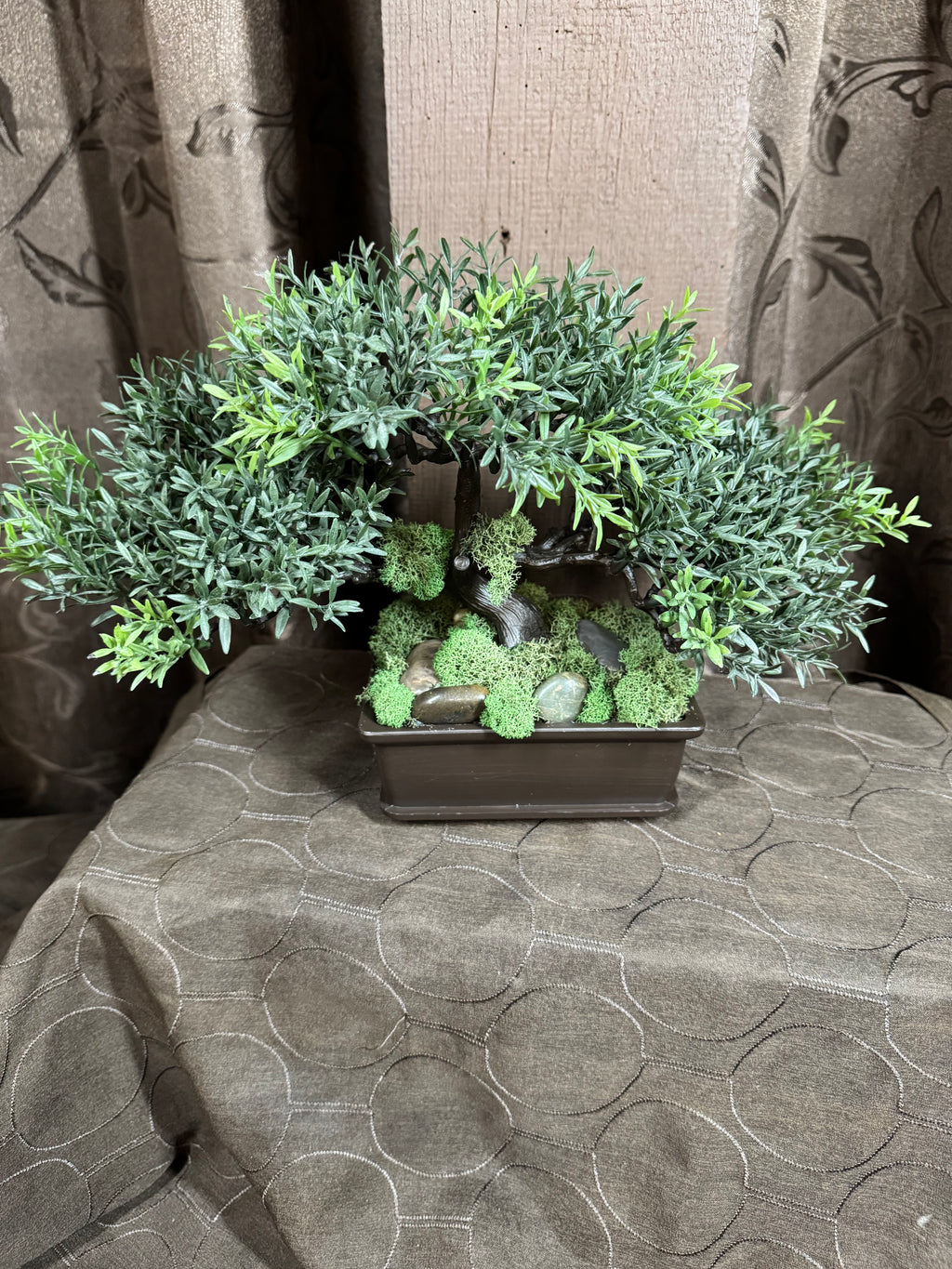 Bonsai Tree