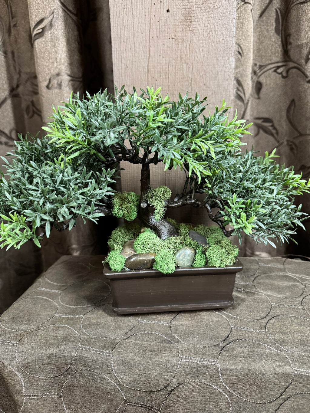 Bonsai Tree