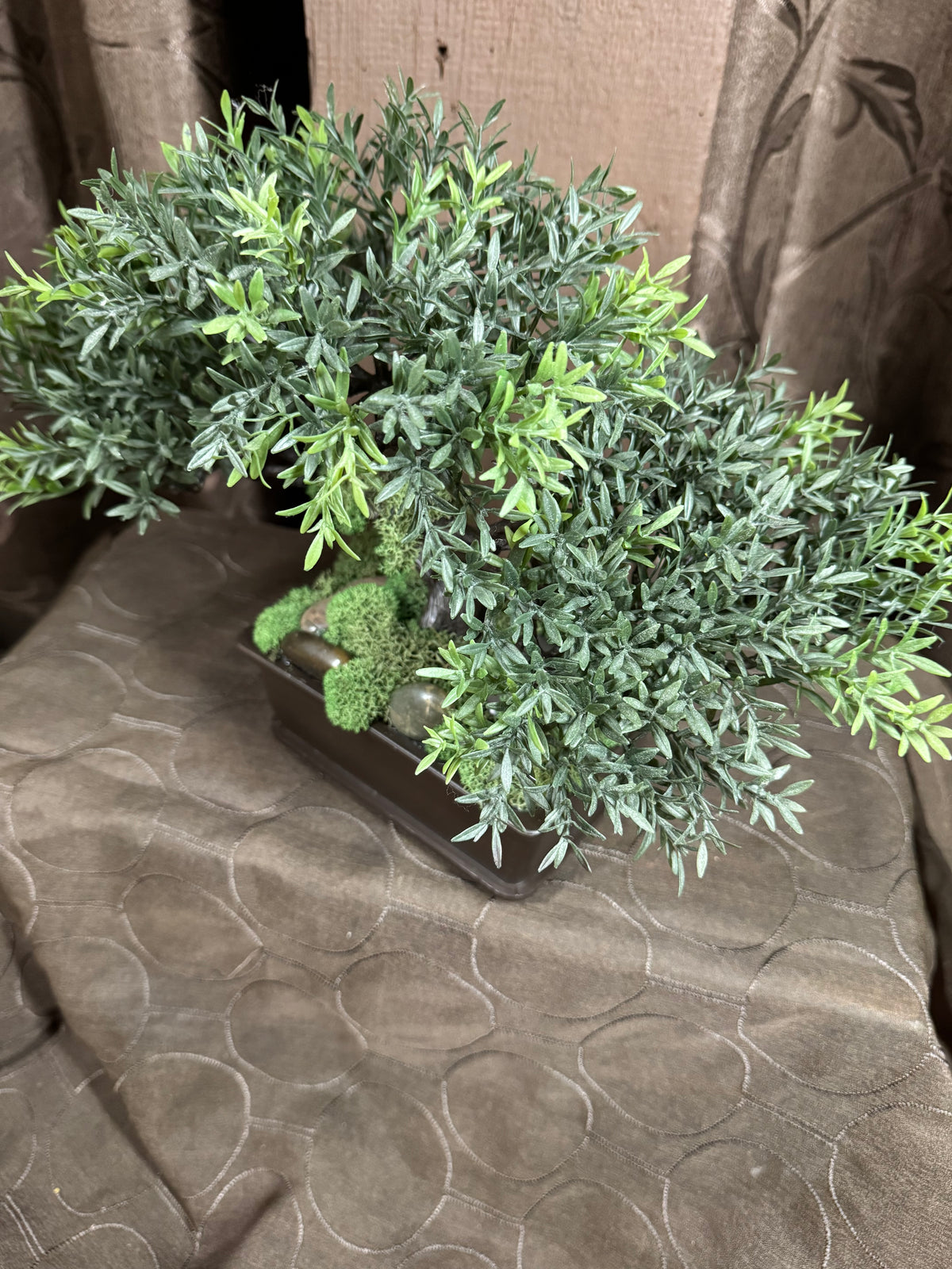 Bonsai Tree