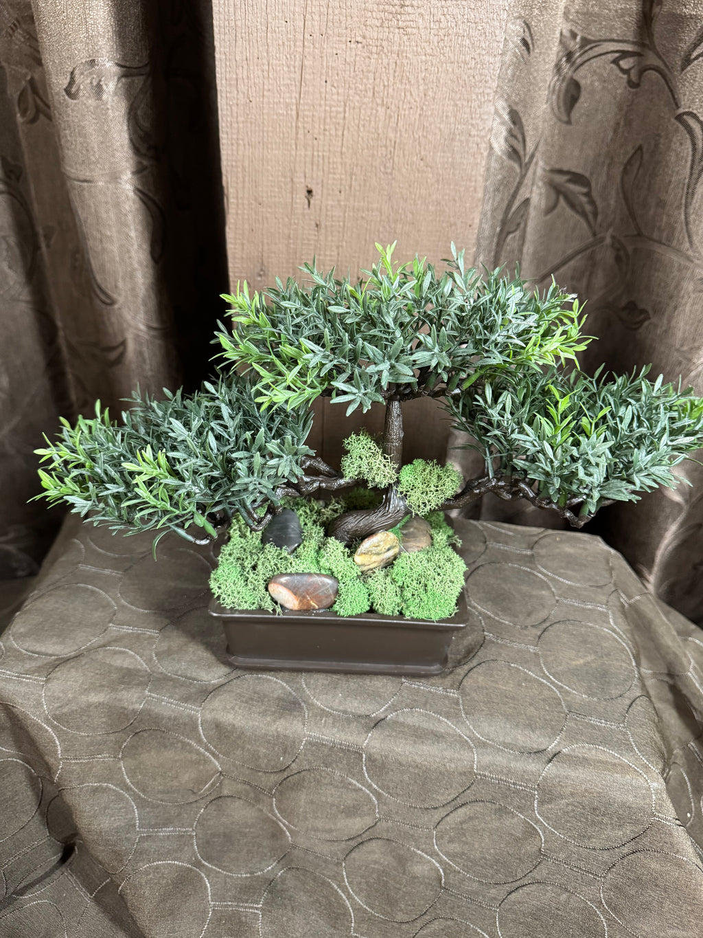 Bonsai Tree