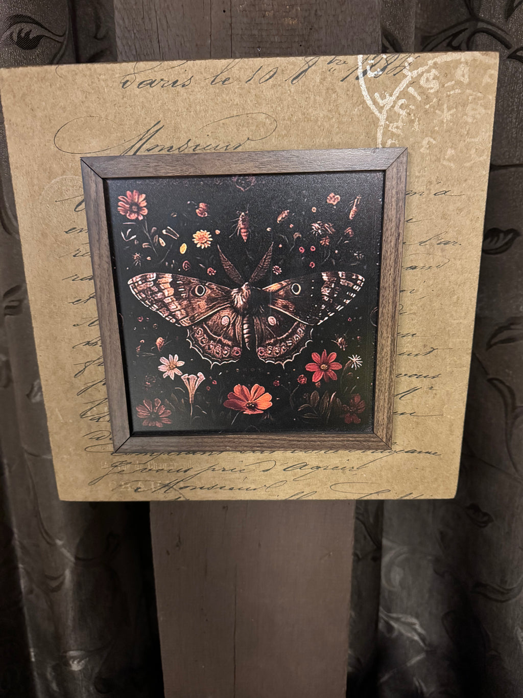 Carte-Postale Butterfly