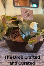 Vintage Bird Nest Vignette with Greens & Pods | Cottagecore Decor