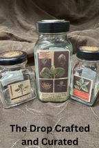 3-PLant Diagrams Apothecary #3